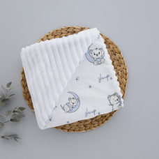 Плед плюш, без утеплення Ведмедик Місяць Блакитний/ Білий плюш 100/80